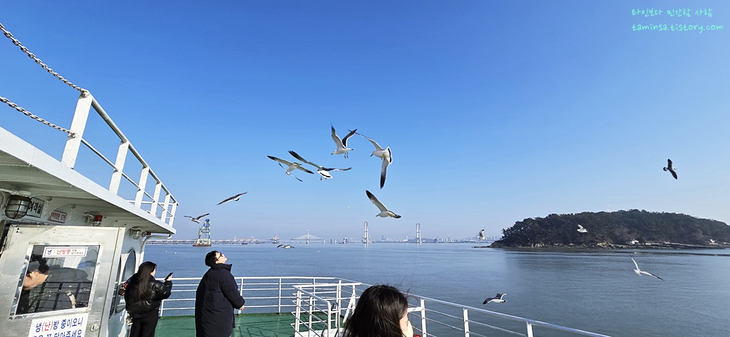 갈매기-먹이주기