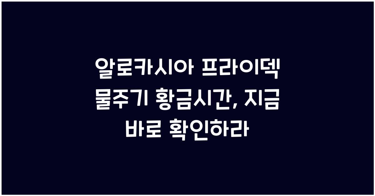 알로카시아 프라이덱 물주기 황금시간