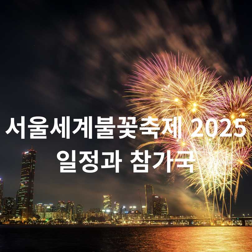 2025 서울세계불꽃축제 노들섬 특별관람석