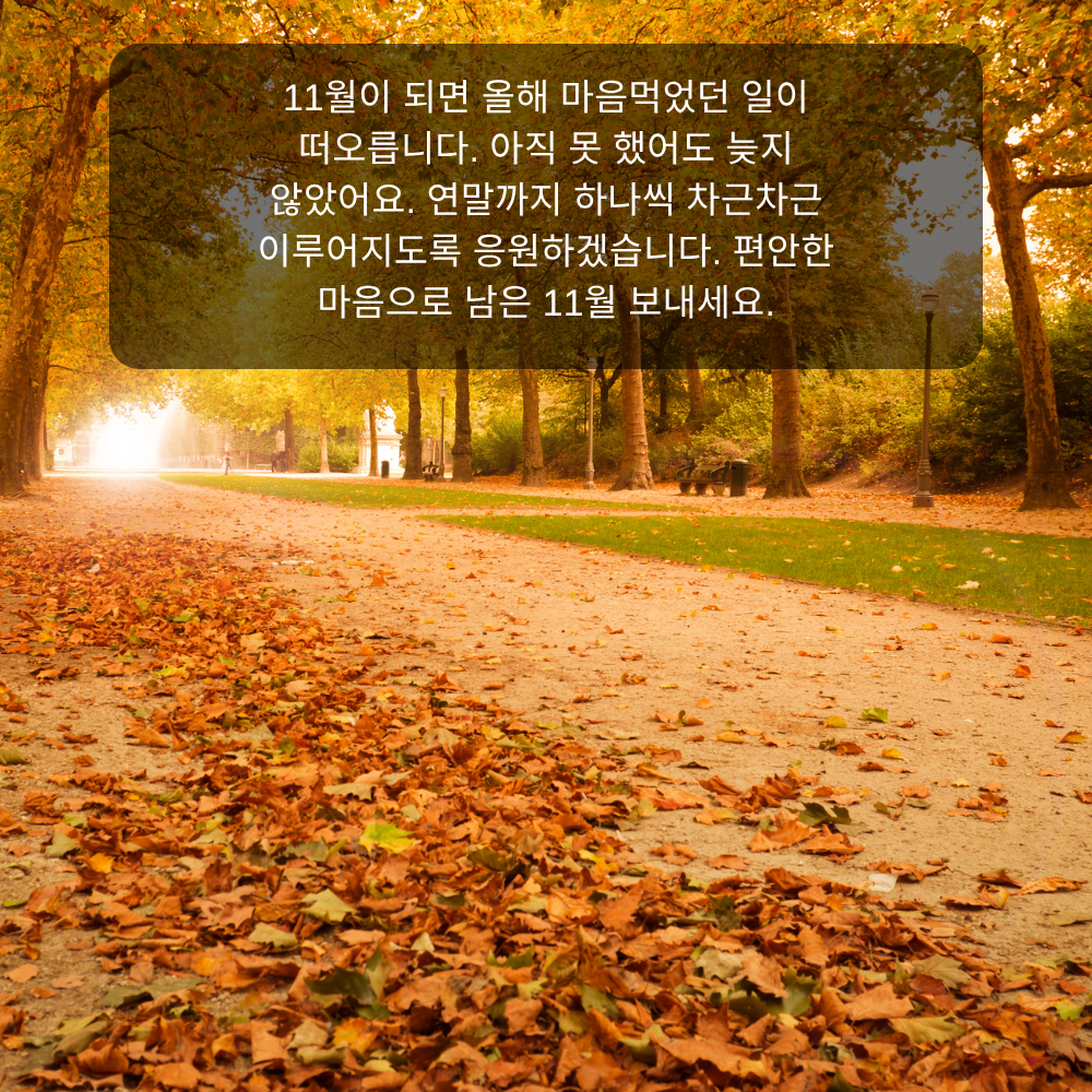 11월 인사말 15 올해 계획 응원하는 11월 인사말 이미지