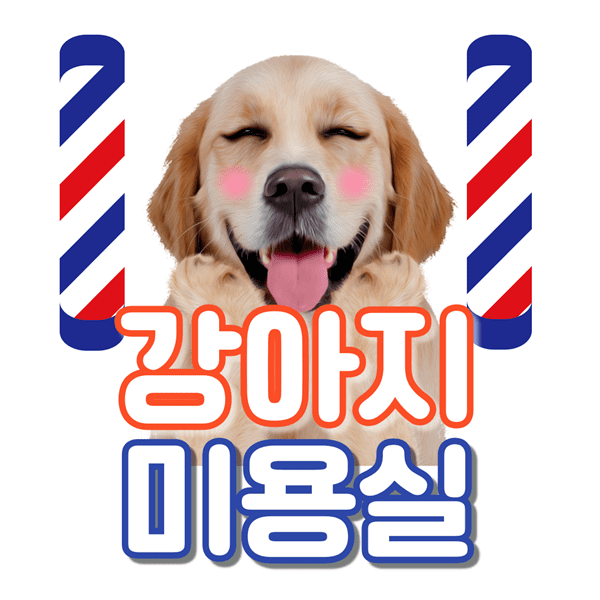 울산광역시 동구 애견 미용 강아지 미용실
