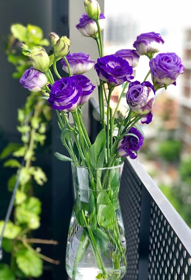 꽃 꿈 해몽 / 하얀꽃, 장미꽃 등.