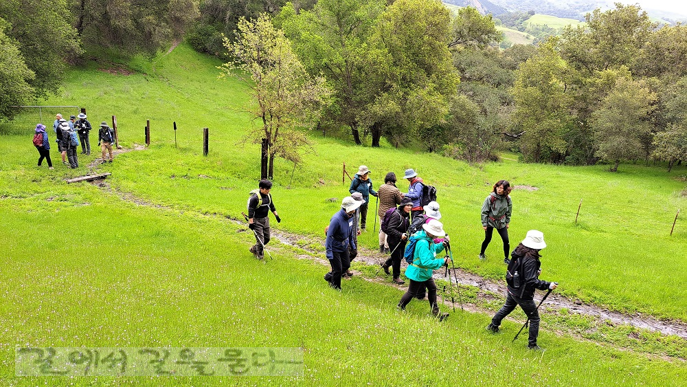 Sunol Regional Wilderness