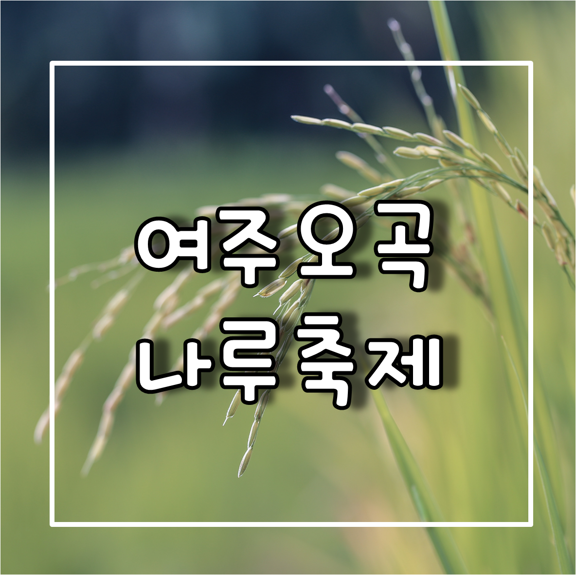 여주오곡나루축제