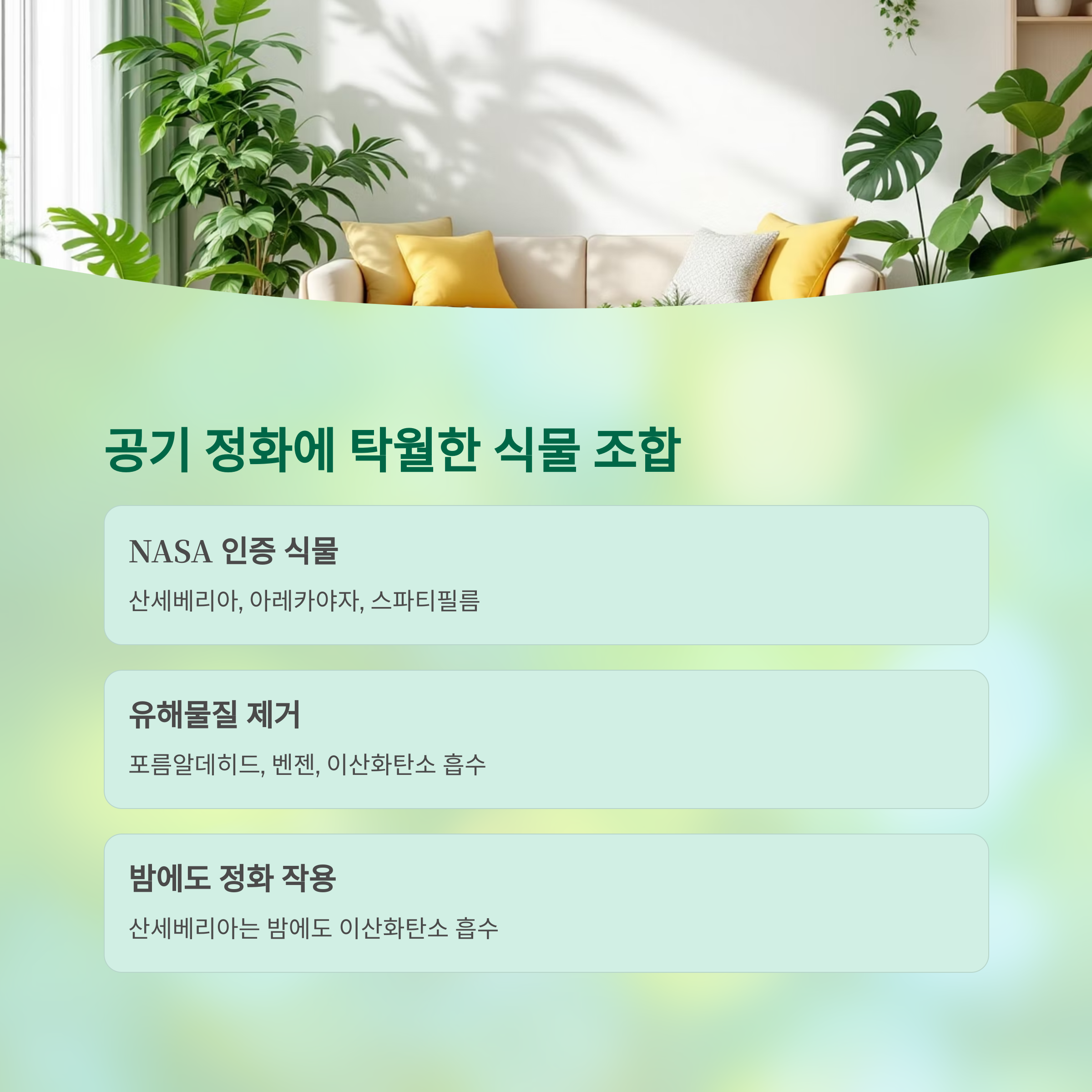 플랜테리어 조합