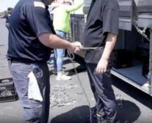 조지아주 현대차-LG엔솔 한국인 구금사태: 현황, 이유, 대응 및 향후 전망