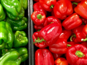 신장에 좋은 음식 나쁜 음식