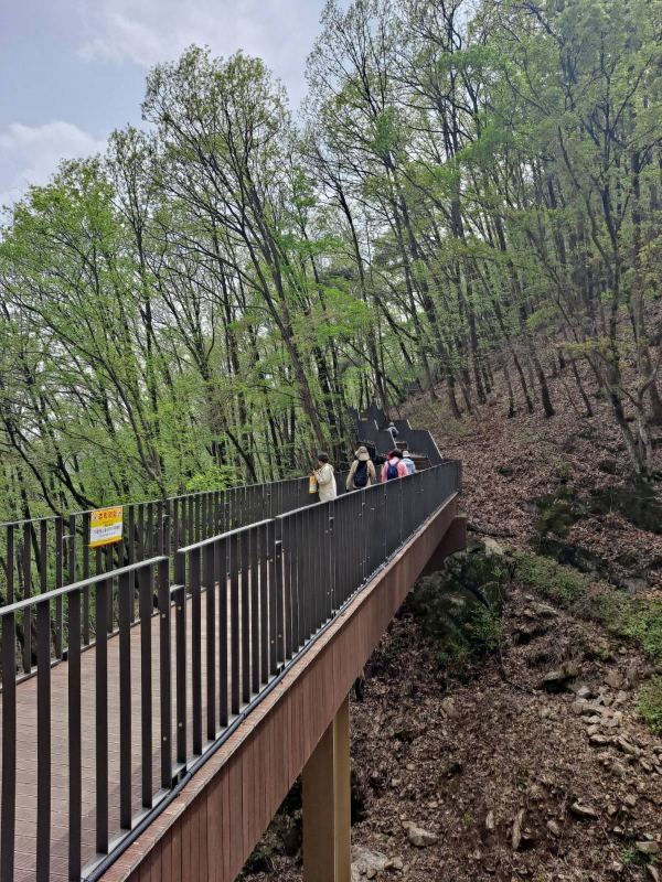 소금잔도 가는 다리