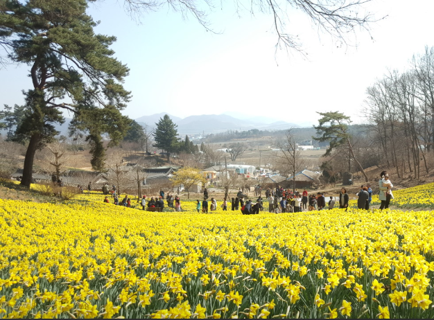생생정보 믿고 떠나는 스타의 고장 충청남도 서산시 유기방가옥 황금산 코끼리바위 바다식당 꽃빛 