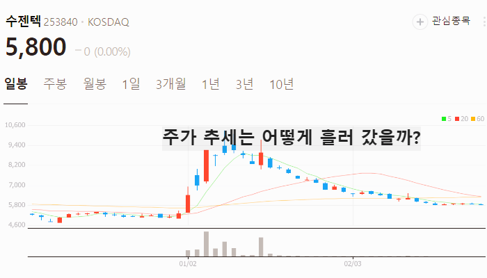 박쥐 코로나 관련주 대장주 테마주 TOP7