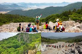 2024 땅끝해남 달마고도 힐링축제 기본일정과 특징 소개