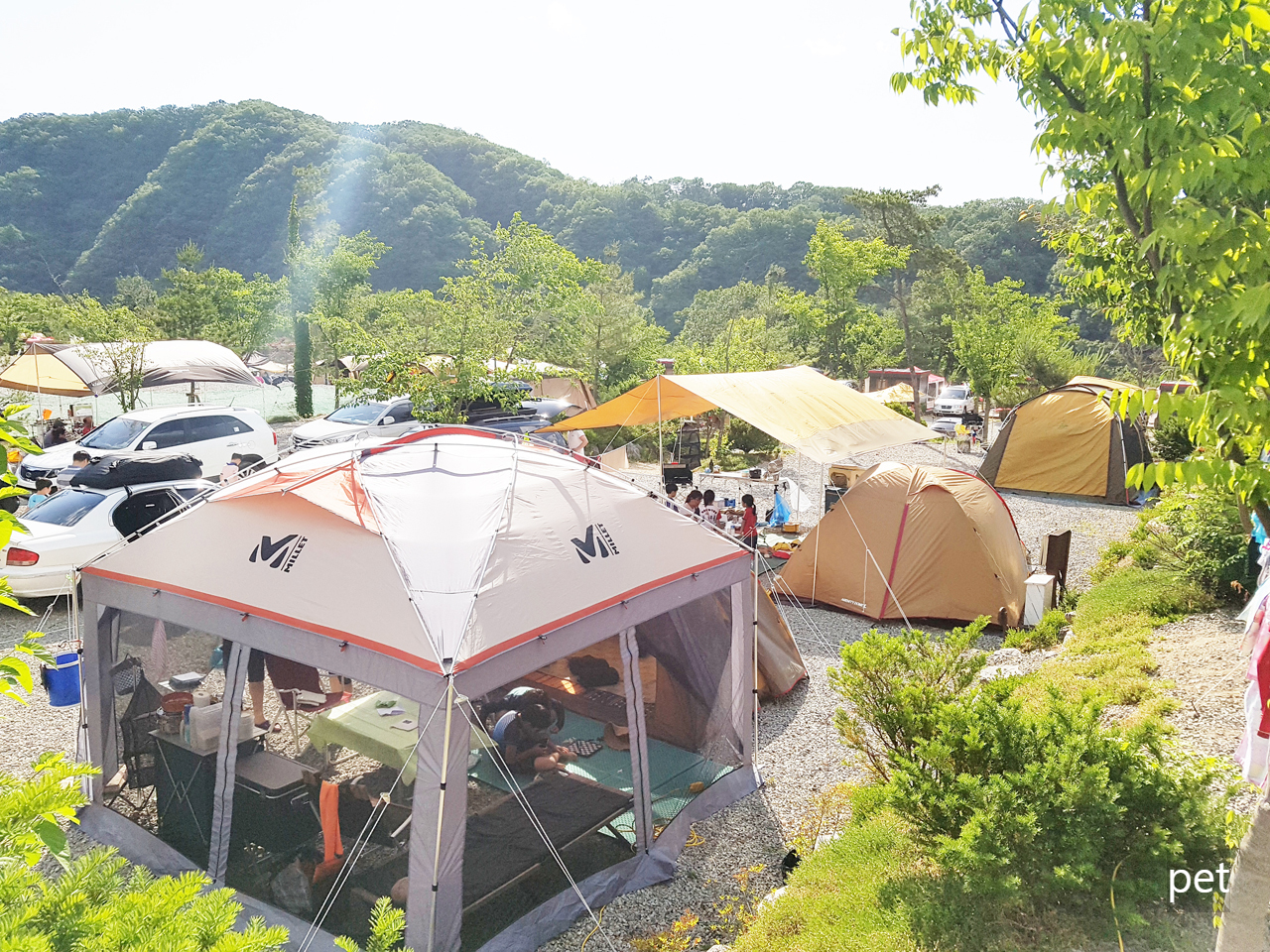 경기-연천-나린오토캠핑장-예약-방법-애견-동반-가격-주소-시간-후기