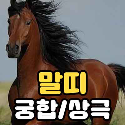 말띠 띠궁합 상극