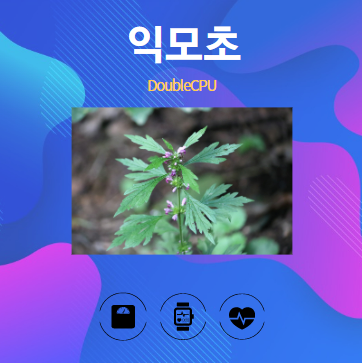 익모초 알아보기