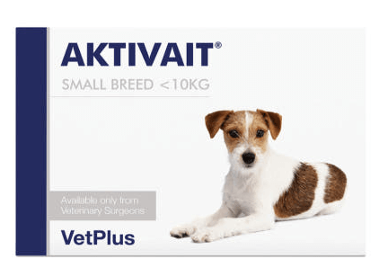 강아지 치매 엑티베이트