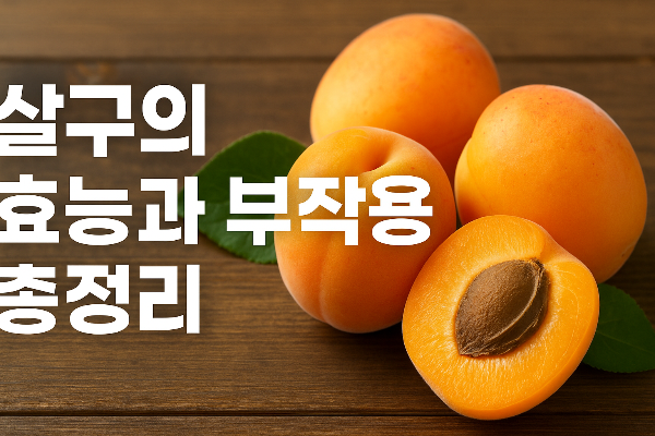 살구의 효능과 효과 영양소 및 부작용 알아보기