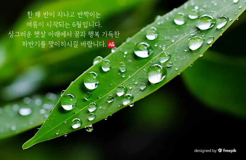 6월-이미지-2