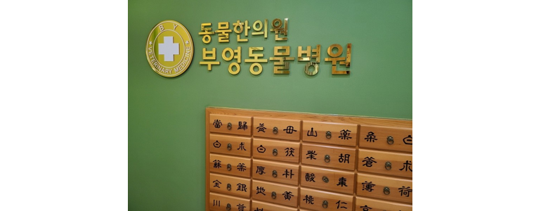 남양주시 동물병원