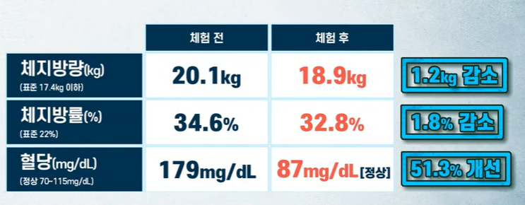 자이언트 파바빈 효능