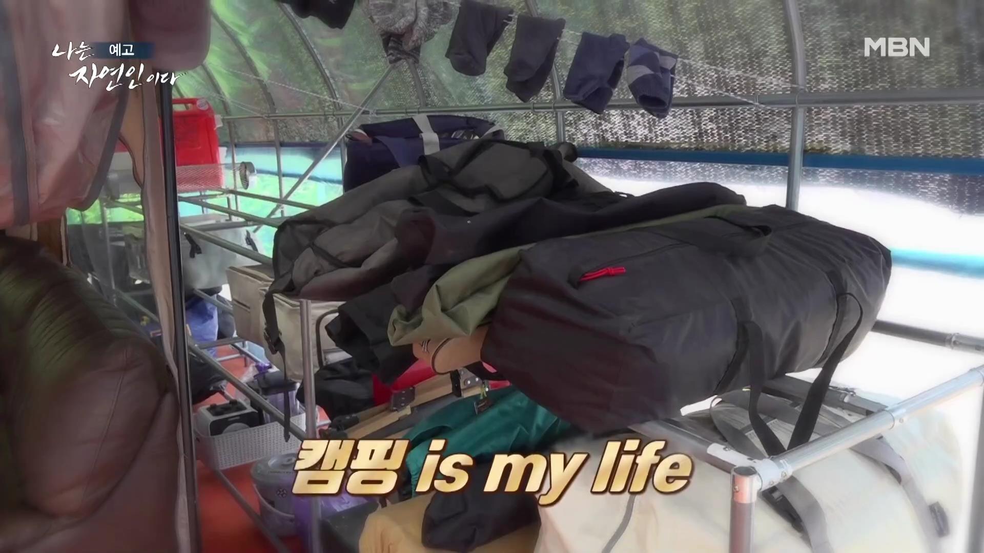 나는 자연인이다 40대 강아지 순이와 산에 살며 캠핑,주꾸미 삼겹살,열무 비빔국수,산나물 튀김 칠전팔기 오프로드 인생 자연인 최명훈 소개 및 윤택 출연 557회 다시보기