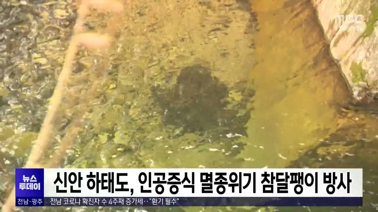 하태도 배편 시간표 예매 요금 숙박_8