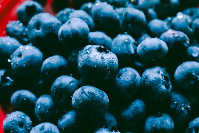 다이어트 보조제 순위 최신 정보 13