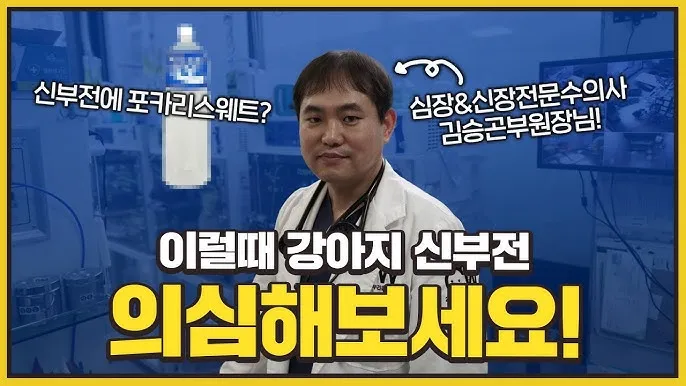 강아지 신부전에 좋은 음식 추천_9