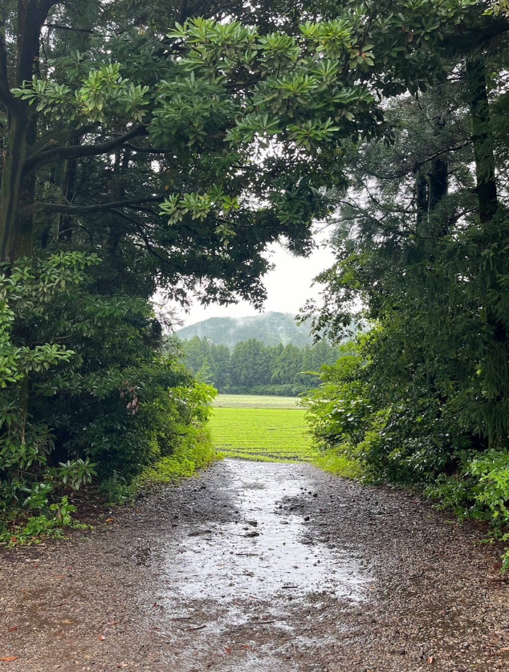 제주-동쪽-구좌-가볼만한곳｜카페-소품샵-포토존이-있는-송당무끈모루