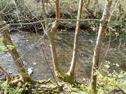 경기도 청년 복지 포인트 3차 신청 신청 대상과 혜택