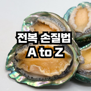전복손질방법