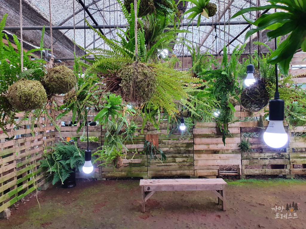 표선 보롬왓 실내 분위기