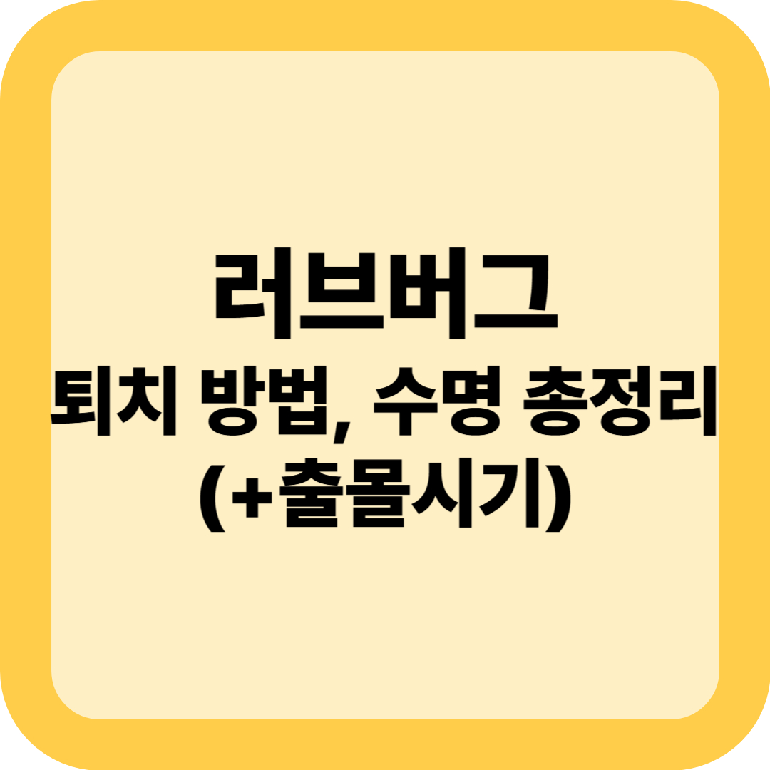 러브버그 퇴치 방법, 수명 총 정리(+출몰 시기)