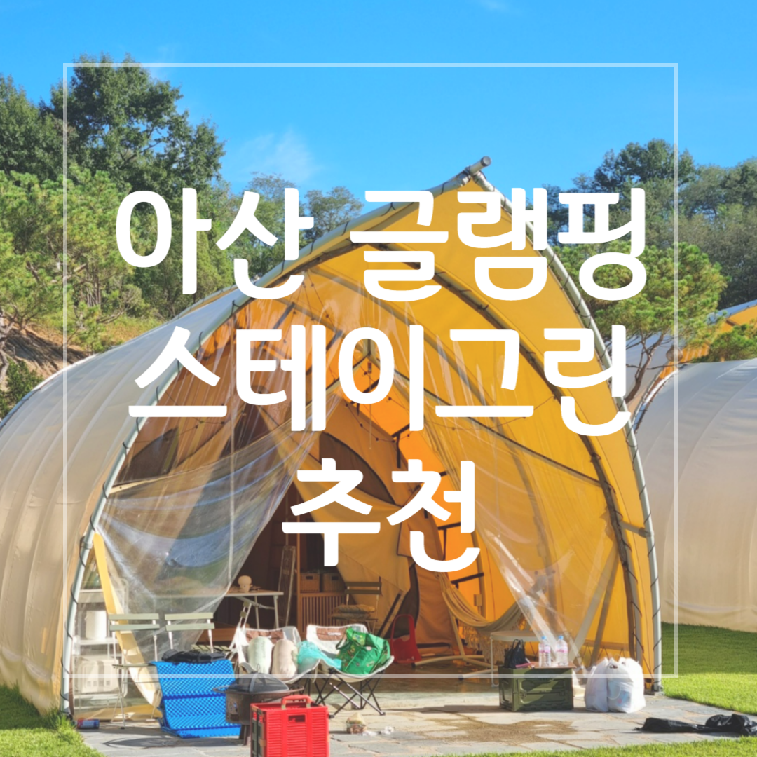 스테이그린 썸네일