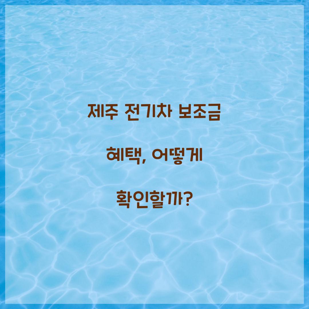 제주 전기차 보조금