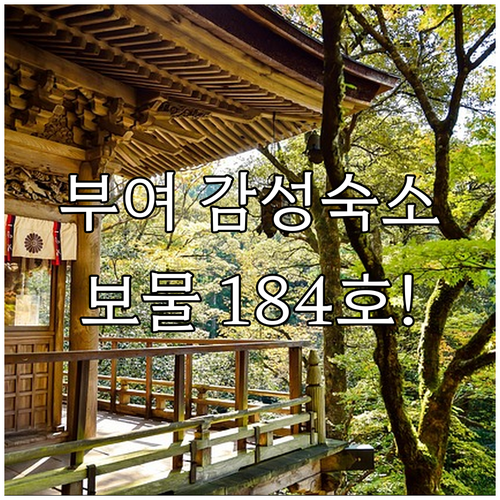 부여 장하리사지 삼층석탑 근처 감성 ..