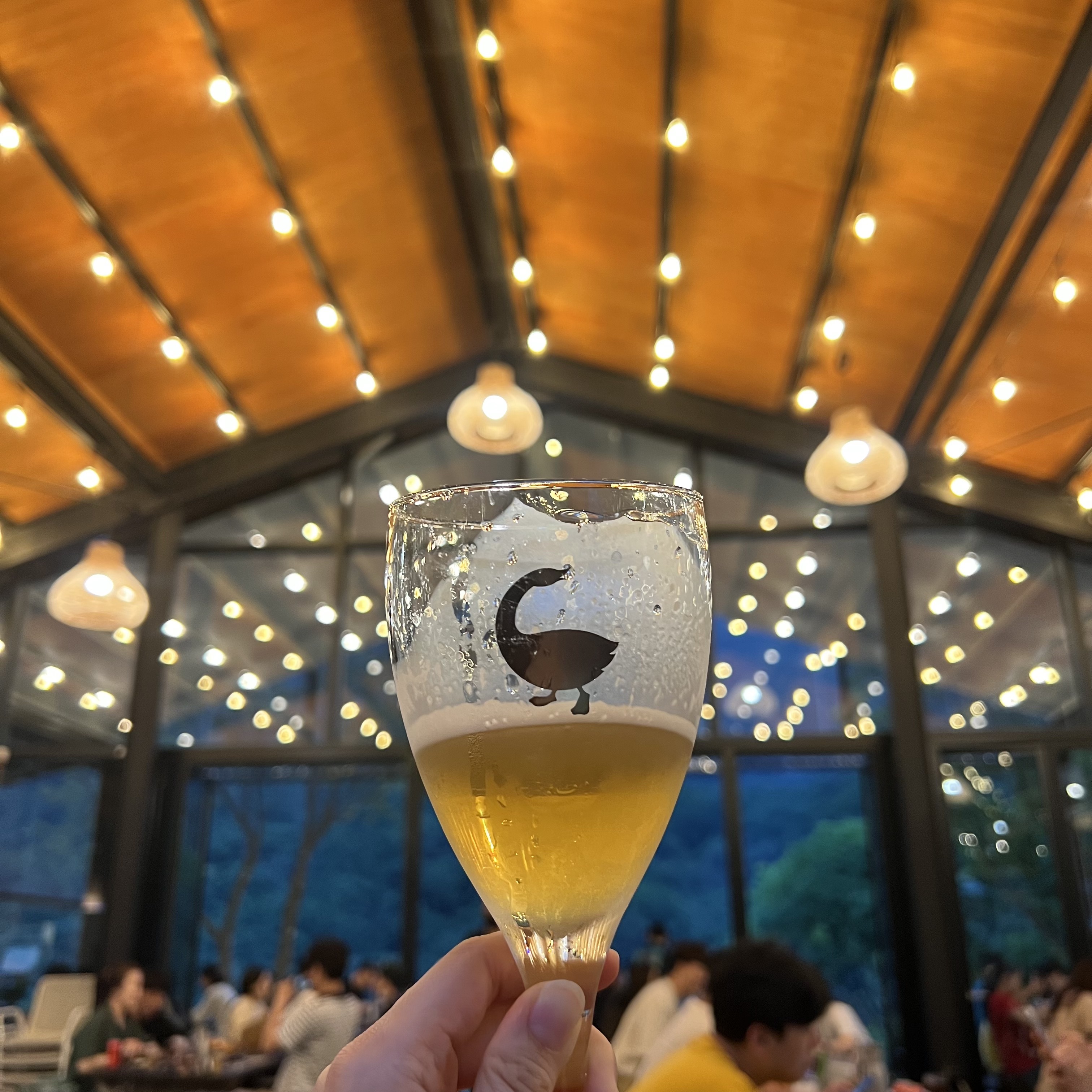 제천 수제맥주