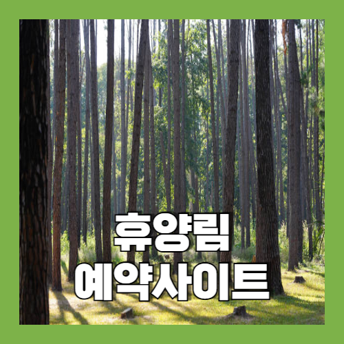 휴양림 예약사이트