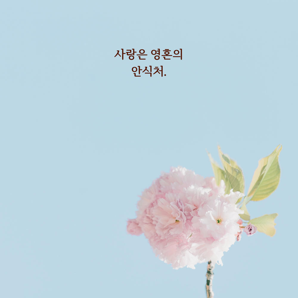 짧고 좋은 사랑 글귀 좋은글 문구 이미지 모음