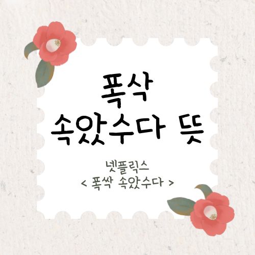 폭삭 속았수다 뜻 넷플릭스 드라마 폭싹 속았수다 등장인물 아이유