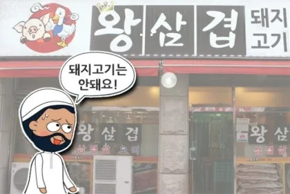 역사속의 미스터리 무슬림이 돼지고기 먹지 않는 이유_4