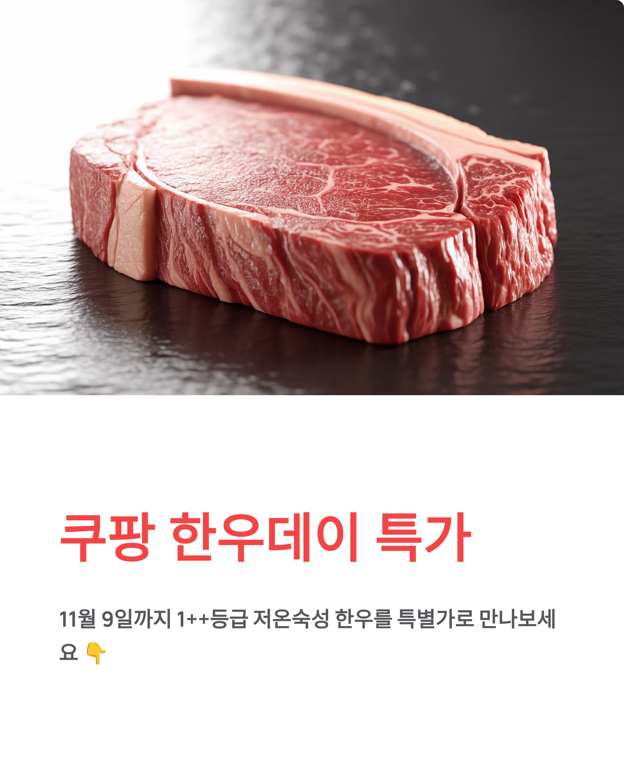 쿠팡 한우데이 기획전, 1++등급 저온숙성 한우 특가!