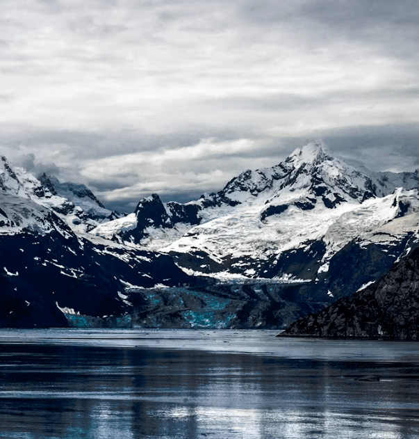 인기 크루즈 노선 완벽 비교