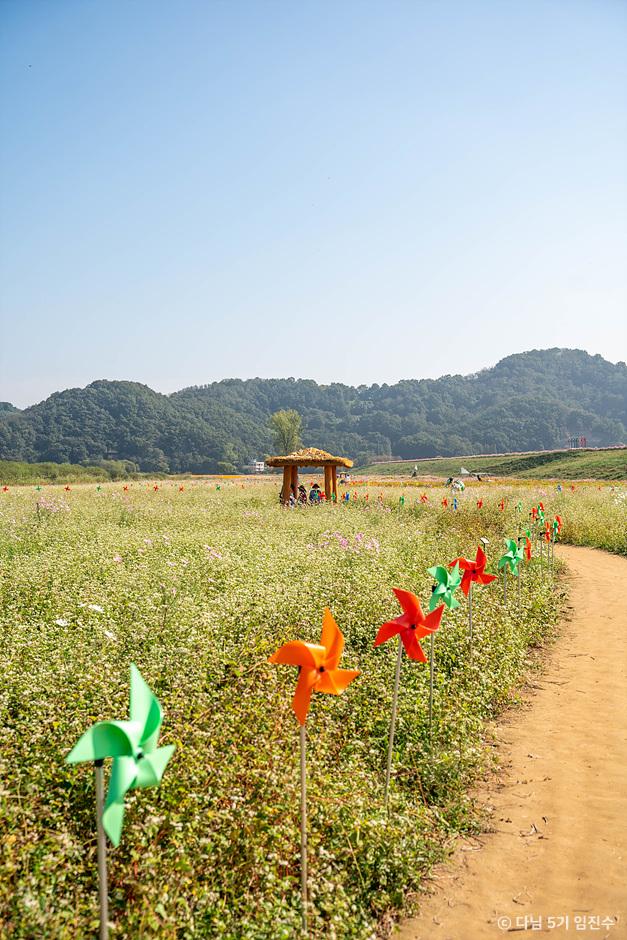 함안 가볼만한곳 베스트10
