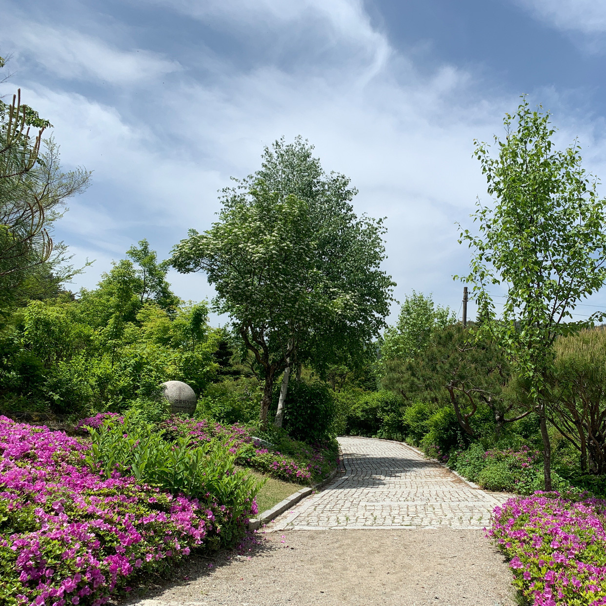 2025 평창 시티투어 예약&amp;#44; 2025 평창 시티투어 시간표&amp;#44; KTX 당일치기 여행&amp;#44; 가성비 여행