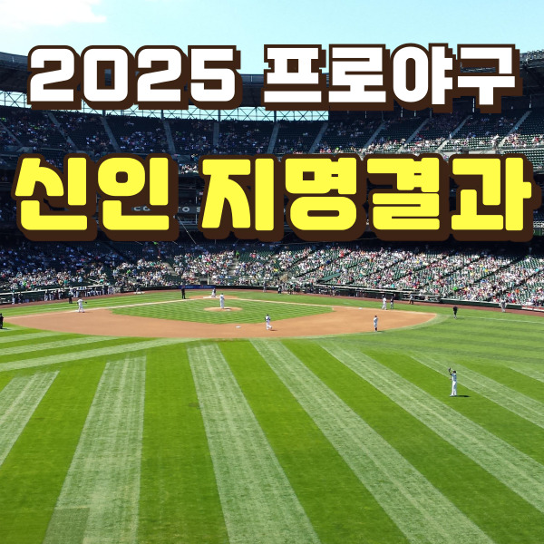 야구장 전경 사진입니다.