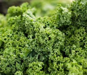 불안장애에 좋은 음식 영양제 식단