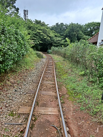 에코랜드 기차길