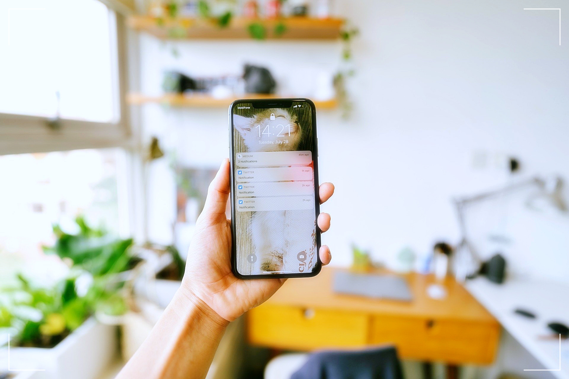 휴대폰을들고있는손