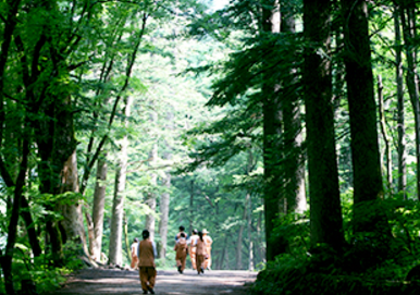 월정사 방문시, 꼭 방문하면 좋은 곳 안내 (선재길, 성보박물관)