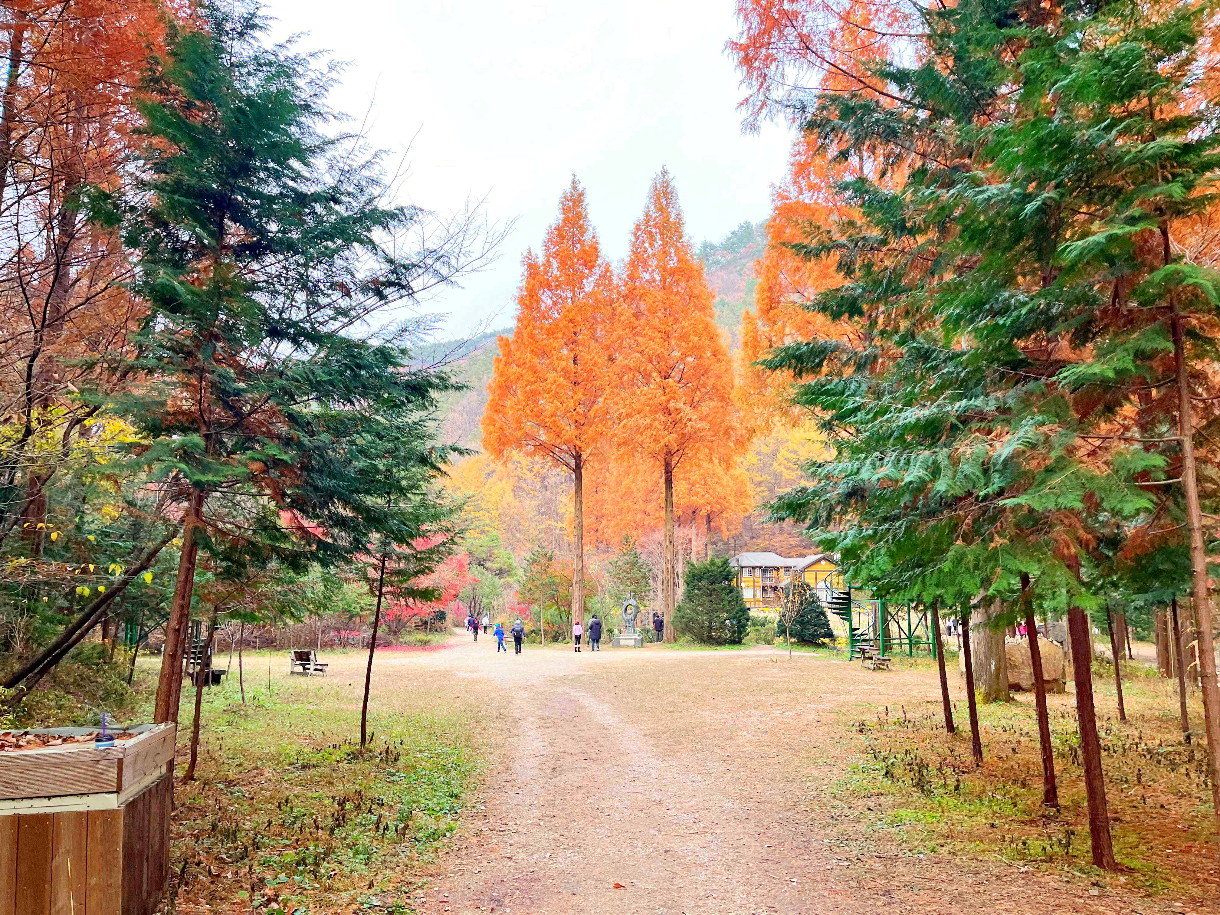 온빛자연휴양림